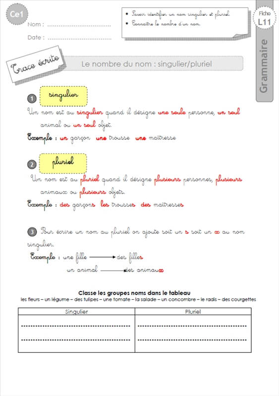 Ce1 Lecon Le Nombre Du Nom Grammaire