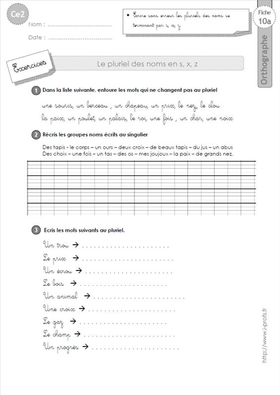 Ce2 Exercices Pluriel Des Noms En S X Z Orthographe