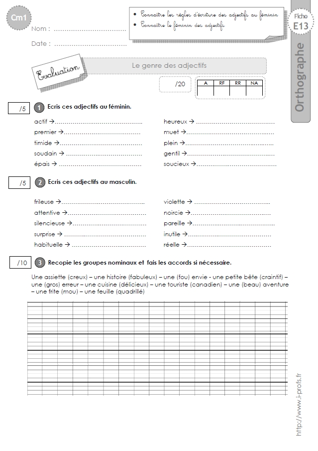 cm1: EVALUATION le Genre de l'adjectif