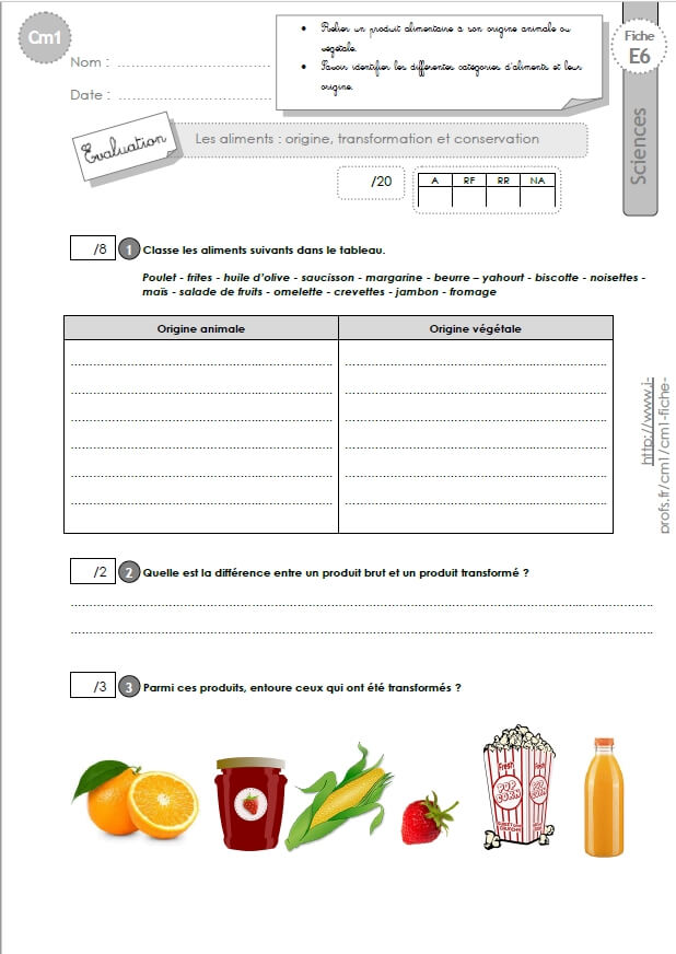 Cm1 Sciences Et Technologie Evaluation L Origine Des Aliments