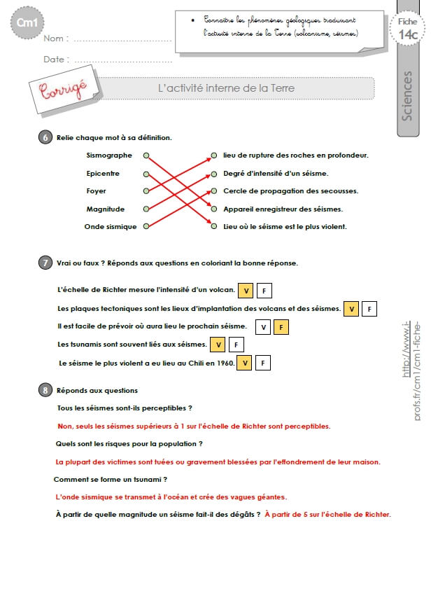 Cm1 Sciences Et Technologie Exerciceslacivité Interne De