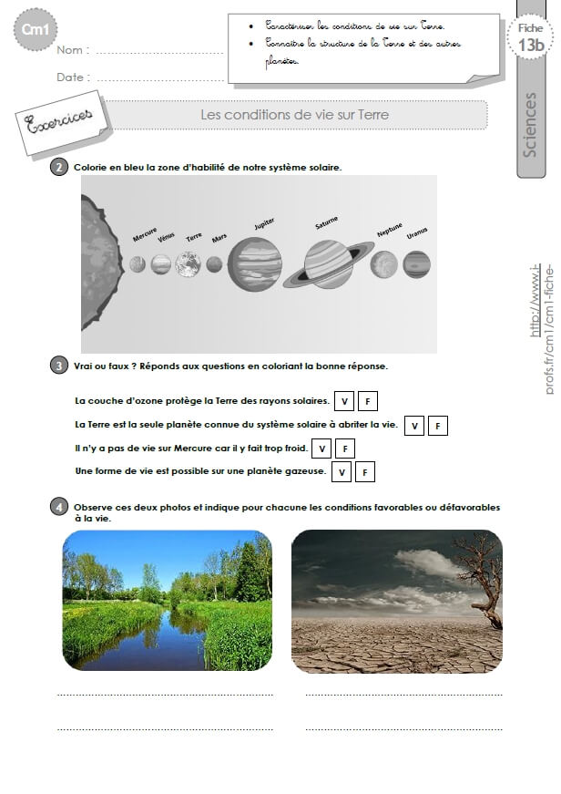 Cm1 Sciences Et Technologie Exercices Conditions De Vie