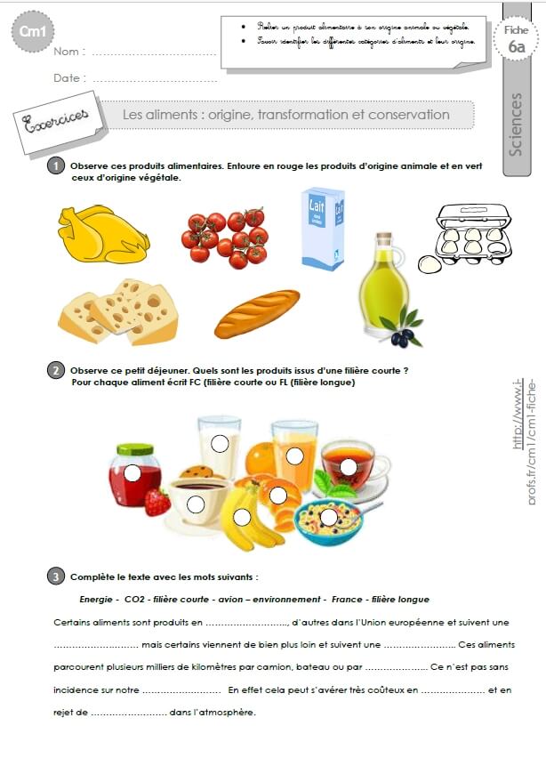 TECHNOLOGIE DE LA TRANSFORMATION DES ALIMENTS (154A0)