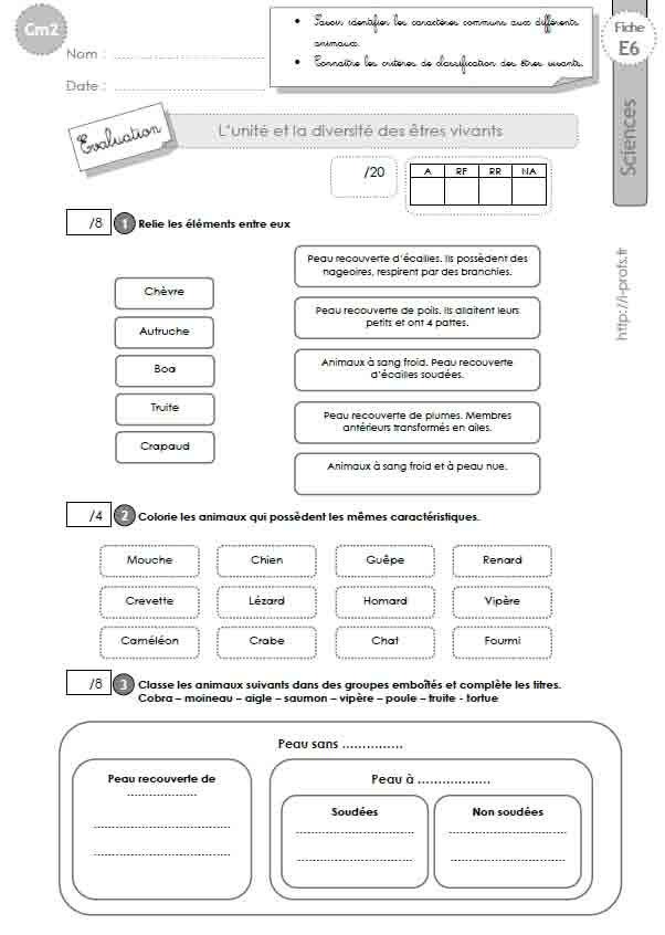 Cm2 Evaluation Sur L Unite Et Diversite Des Etres Vivants