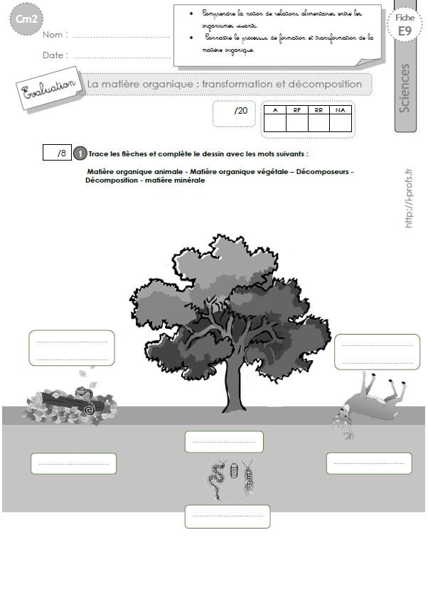 Cm2 Evaluation Sur La Matiere Organique Transformation Et Decomposition