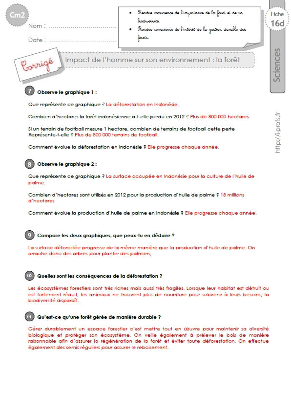 Cm2 Exercices Sur Les Impacts De L Homme Sur Son Environnement La Foret