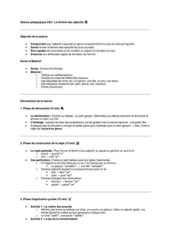 seance ce2 féminin des adjectifs