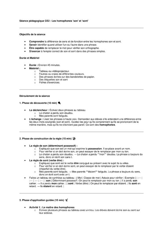 seance ce2 homophones son-sont 