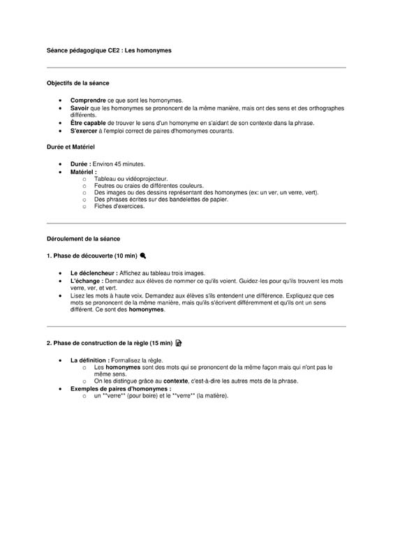 seance ce2 Vocabulaire: les homonymes