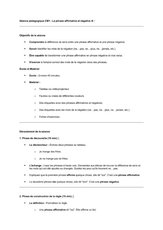 seance cm1 phrase affirmative et négative