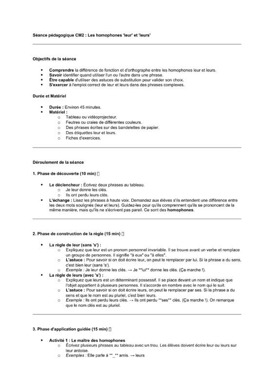 seance cm2 Homophones leur/leurs