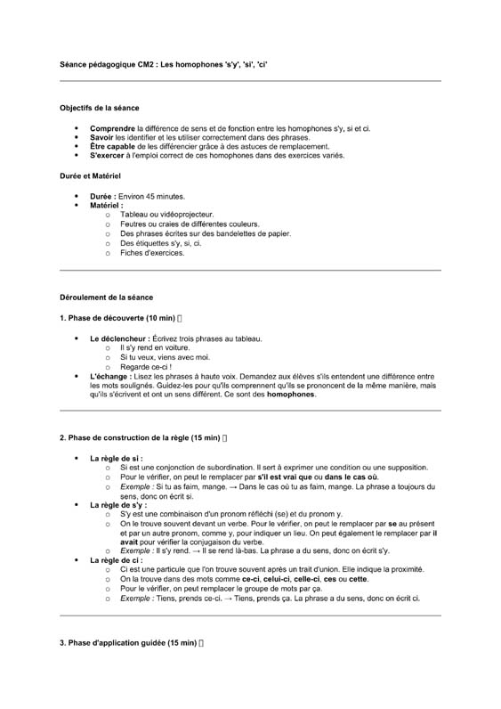 seance cm2 Homophones s’y/si/ci