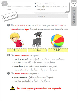 Aperçu fiche 1 : le nom CE1